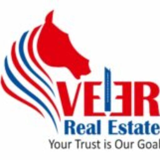 Veer real estate logo